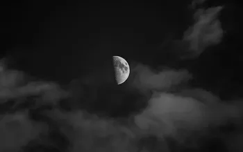 Notte dei ricercatori